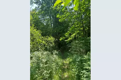 Vl Blair Street, West Olive, MI 49460 - Photo 7