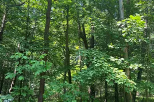 Vl Blair St, West Olive, MI 49460 - Photo 1