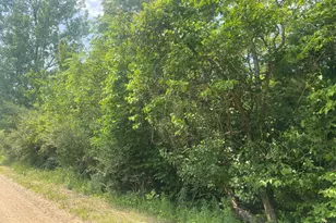 V/L N 55th Street-A, Grand Junction, MI 49056 - Photo 1