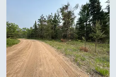 Parcel A Cherry Creek Trail, Grayling, MI 49738 - Photo 9