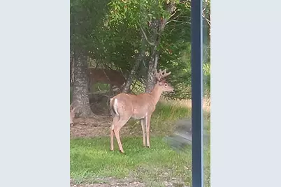 Parcel A Cherry Creek Trail, Grayling, MI 49738 - Photo 13