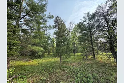 Parcel A Cherry Creek Trail, Grayling, MI 49738 - Photo 11