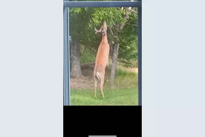 Parcel A Cherry Creek Trail, Grayling, MI 49738 - Photo 19