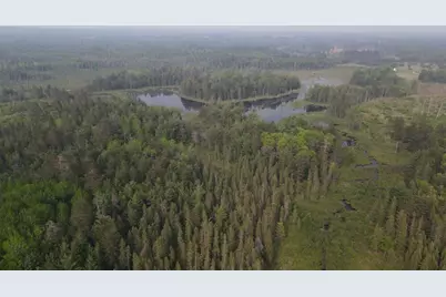 Parcel B Cherry Creek Trail, Grayling, MI 49738 - Photo 9