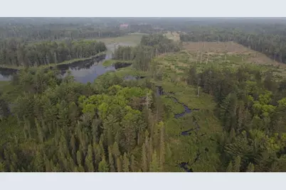Parcel B Cherry Creek Trail, Grayling, MI 49738 - Photo 1