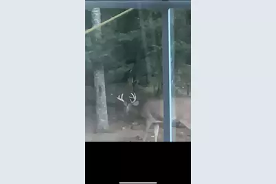 Parcel B Cherry Creek Trail, Grayling, MI 49738 - Photo 31