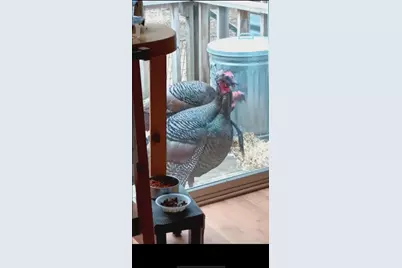 Parcel C Cherry Creek Trail, Grayling, MI 49738 - Photo 23