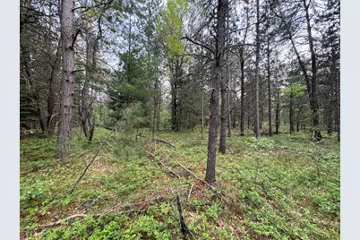 Parcel C Cherry Creek Trail, Grayling, MI 49738 - Photo 15