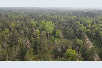 Parcel C Cherry Creek Trail, Grayling, MI 49738 - Photo 1