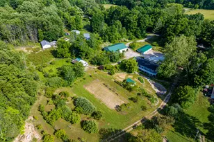 11303 W Dr N, Bellevue, MI 49021 - Photo 49