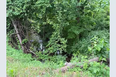 15255 Bailey Road, Bailey, MI 49303 - Photo 3