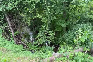 15255 Bailey Rd, Bailey, MI 49303 - Photo 3