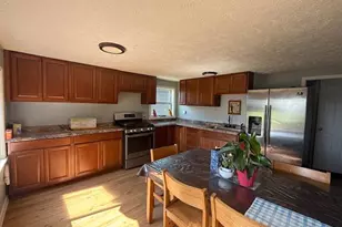 15255 Bailey Rd, Bailey, MI 49303 - Photo 3