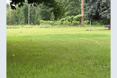 15255 Bailey Road, Bailey, MI 49303 - Photo 5