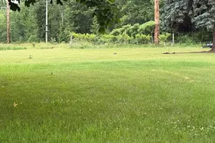 15255 Bailey Rd, Bailey, MI 49303 - Photo 5