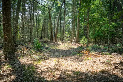 V/L Round Lake Drive, Holton, MI 49425 - Photo 5