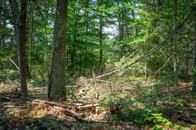 V/L Round Lake Drive, Holton, MI 49425 - Photo 15