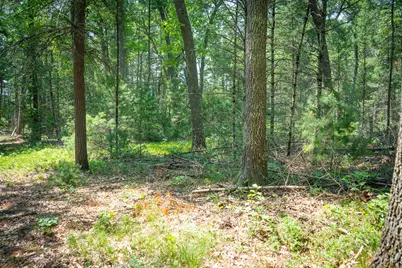 V/L Round Lake Drive, Holton, MI 49425 - Photo 13