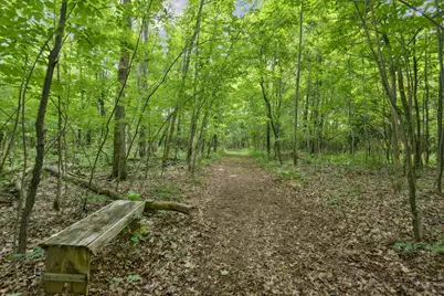 Vl Douglas Avenue, Plainwell, MI 49080 - Photo 7