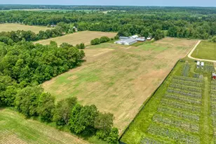 15379 Howard Rd, Hanover, MI 49241 - Photo 87