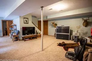 17474 Connor Cir, Bailey, MI 49303 - Photo 41