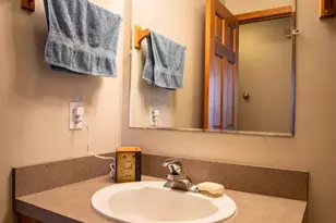 17474 Connor Cir, Bailey, MI 49303 - Photo 37