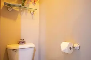 17474 Connor Cir, Bailey, MI 49303 - Photo 29