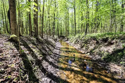 Vl Benny Ct (Private) #Parcel 2, Grand Junction, MI 49056 - Photo 9