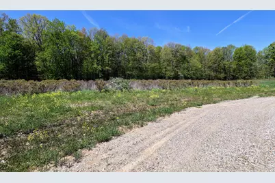 Vl Benny Ct (Private) #Parcel 2, Grand Junction, MI 49056 - Photo 5