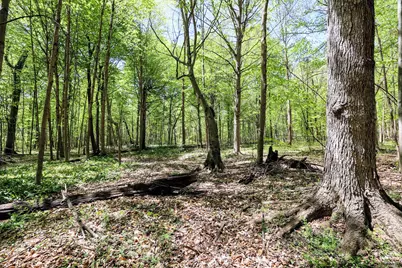 Vl Benny Ct (Private) #Parcel 2, Grand Junction, MI 49056 - Photo 11