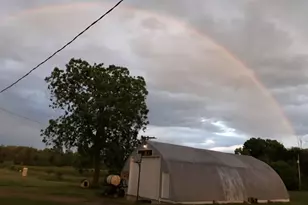 11651 Cr 687, South Haven, MI 49090 - Photo 9