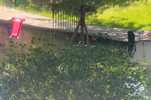 6344 Grandmont Ave, Detroit, MI 48228 - Photo 7