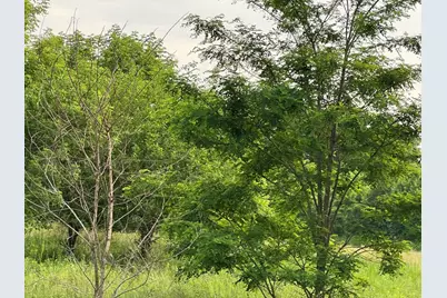 421 E Battle Creek Street, Galesburg, MI 49053 - Photo 3