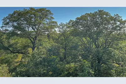 E 34 Road, Cadillac, MI 49601 - Photo 11