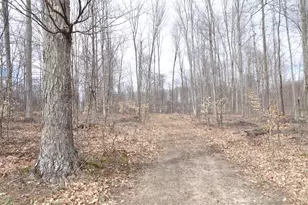 Chief ''b'' Rd, Bear Lake, MI 49614 - Photo 1