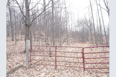 Chief L Road, Bear Lake, MI 49614 - Photo 1