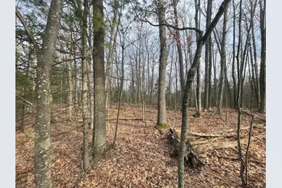 7780 N Harrison Avenue, Harrison, MI 48625 - Photo 15