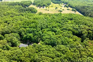 2625 Elmwood Dr, Pierson, MI 49339 - Photo 73