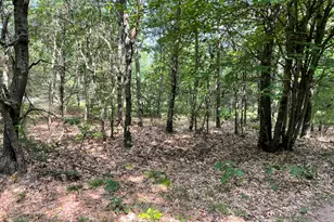 Ewing Rd, Holton, MI 49425 - Photo 1