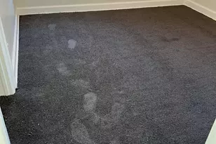 16864 Linwood St, Detroit, MI 48221 - Photo 31