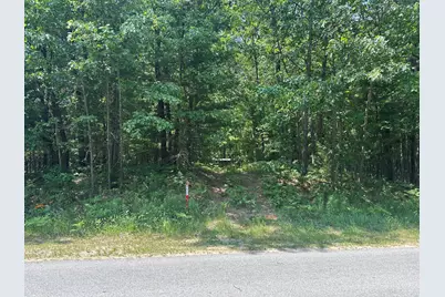 8747 E Kinney Road, Branch, MI 49402 - Photo 9