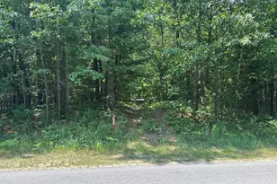 8747 E Kinney Rd, Branch, MI 49402 - Photo 9