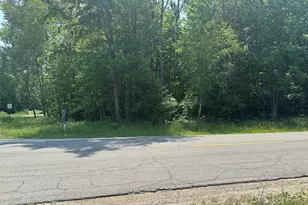 8747 E Kinney Rd, Branch, MI 49402 - Photo 1