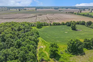 9991 Kaiser Rd, Saline, MI 48176 - Photo 51