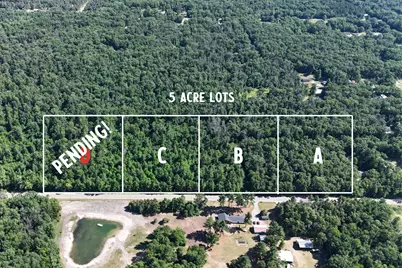 Par D W Almy Road, Howard City, MI 49329 - Photo 1