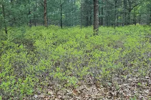 V/L Pentwater Blvd, Pentwater, MI 49449 - Photo 1