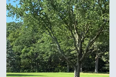 1 Lilac Lane, Grand Beach, MI 49117 - Photo 5