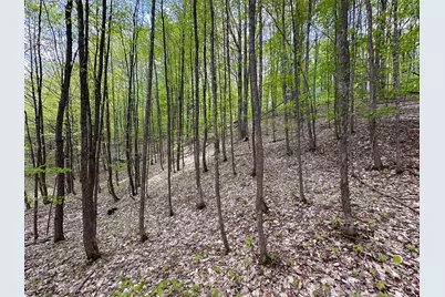 5320 E 18 Road, Manton, MI 49663 - Photo 45