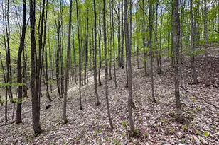 5320 E 18 Rd, Manton, MI 49663 - Photo 45