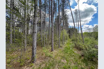 5320 E 18 Road, Manton, MI 49663 - Photo 49